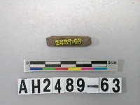 藏品(磨製石針)的圖片